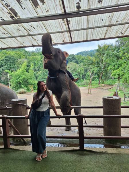 Elephant Care - photo 85 - lifeonwheel.com