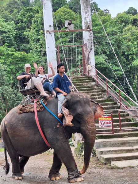 Elephant Care - photo 87 - lifeonwheel.com