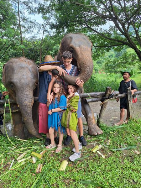Elephant Care - photo 88 - lifeonwheel.com