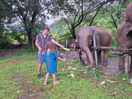 Elephant Care - photo 92 - lifeonwheel.com