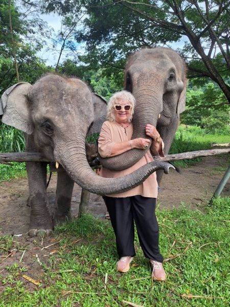Elephant Care - photo 106 - lifeonwheel.com