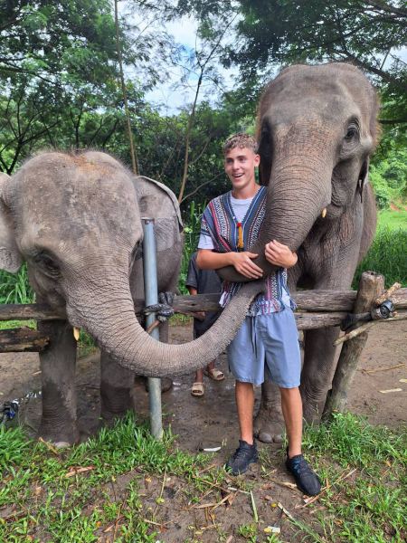 Elephant Care - photo 107 - lifeonwheel.com