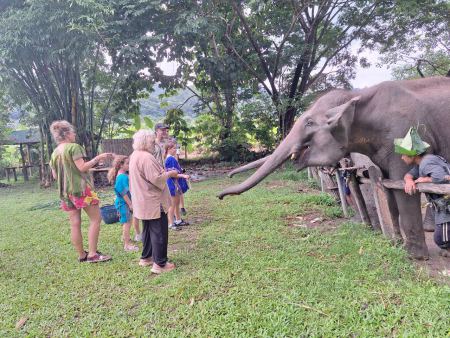 Elephant Care - photo 109 - lifeonwheel.com