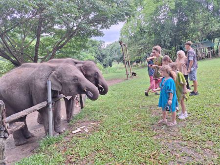 Elephant Care - photo 110 - lifeonwheel.com