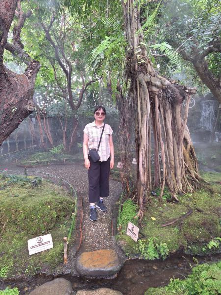 Standing beside the giant banyan roots in the garden - lifeonwheel.com