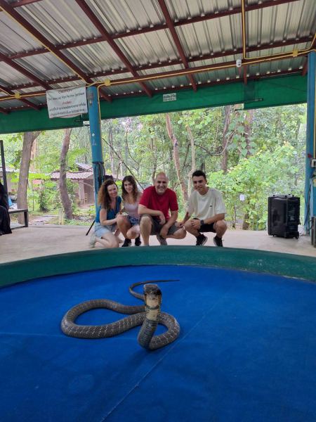 Guests posing with a king cobra at the snake show - lifeonwheel.com