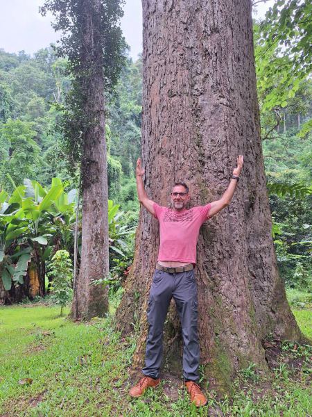 Arms up against a giant rainforest tree - lifeonwheel.com