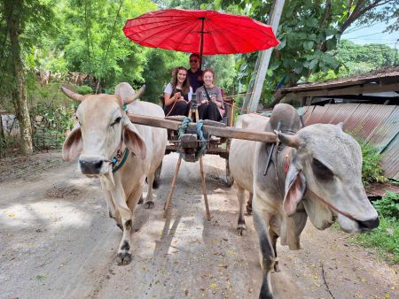 Riding into the village behind two white oxen - lifeonwheel.com