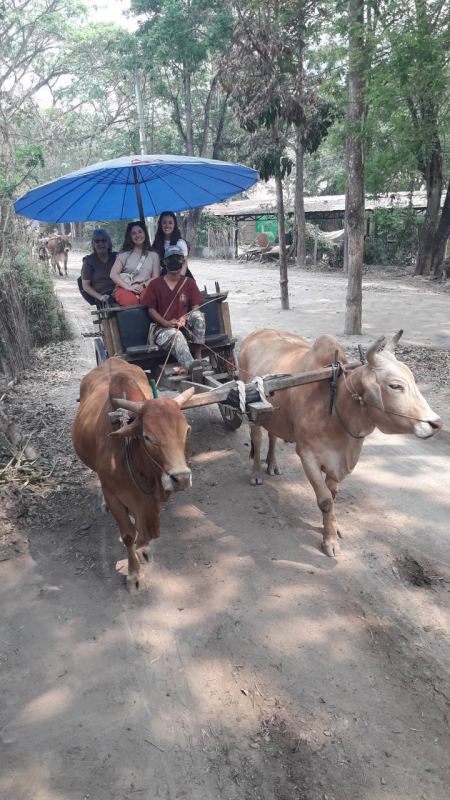 The ox cart trundling along the dusty village road - lifeonwheel.com
