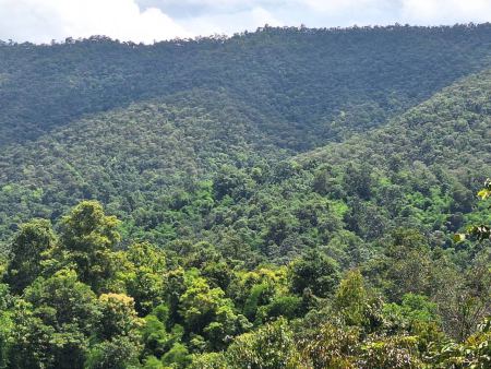 Forested ridges rolling away from the lookout - lifeonwheel.com