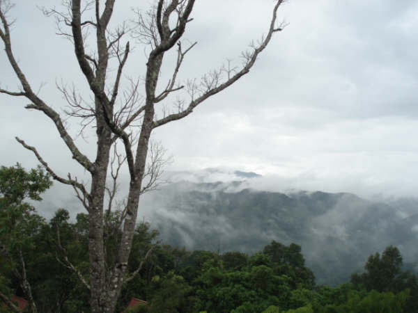 Day 2 Doi Tung to Golden Triangle - lifeonwheel.com