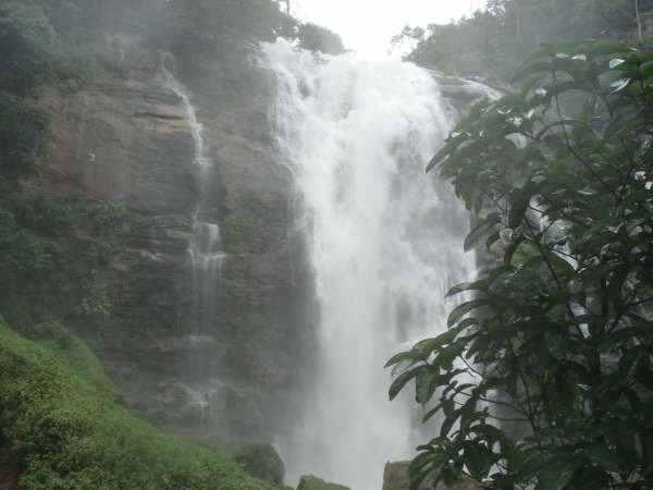 Day 2 Doi Tung to Golden Triangle - lifeonwheel.com