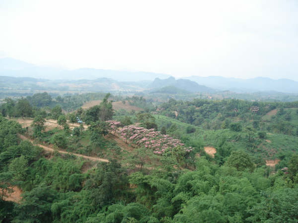 Day 2 Doi Tung to Golden Triangle - lifeonwheel.com