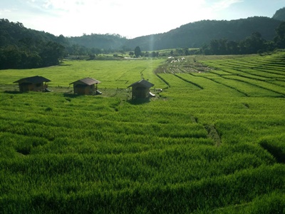 Chiang Mai and Northern Thailand tour photo 28 - lifeonwheel.com
