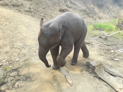 Chiang Mai and Northern Thailand tour photo 32 - lifeonwheel.com